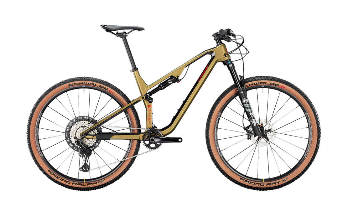 mountainbikeConway Detlefs Fahrradstall - Mountainbike